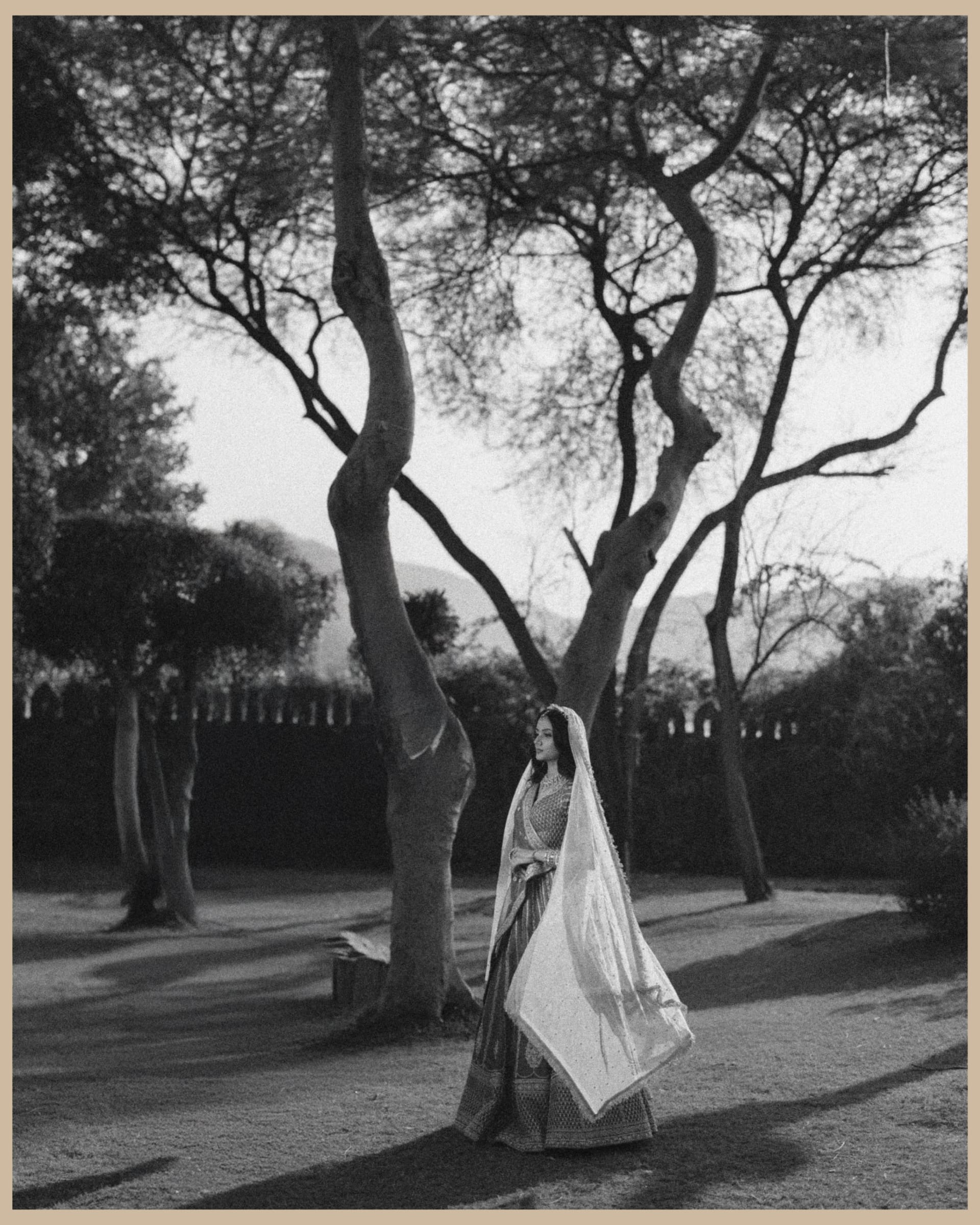 Vasu & Janvi  photo 14