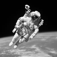 User Experience & Scientific Research