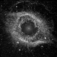 Engineering at Square and CashApp