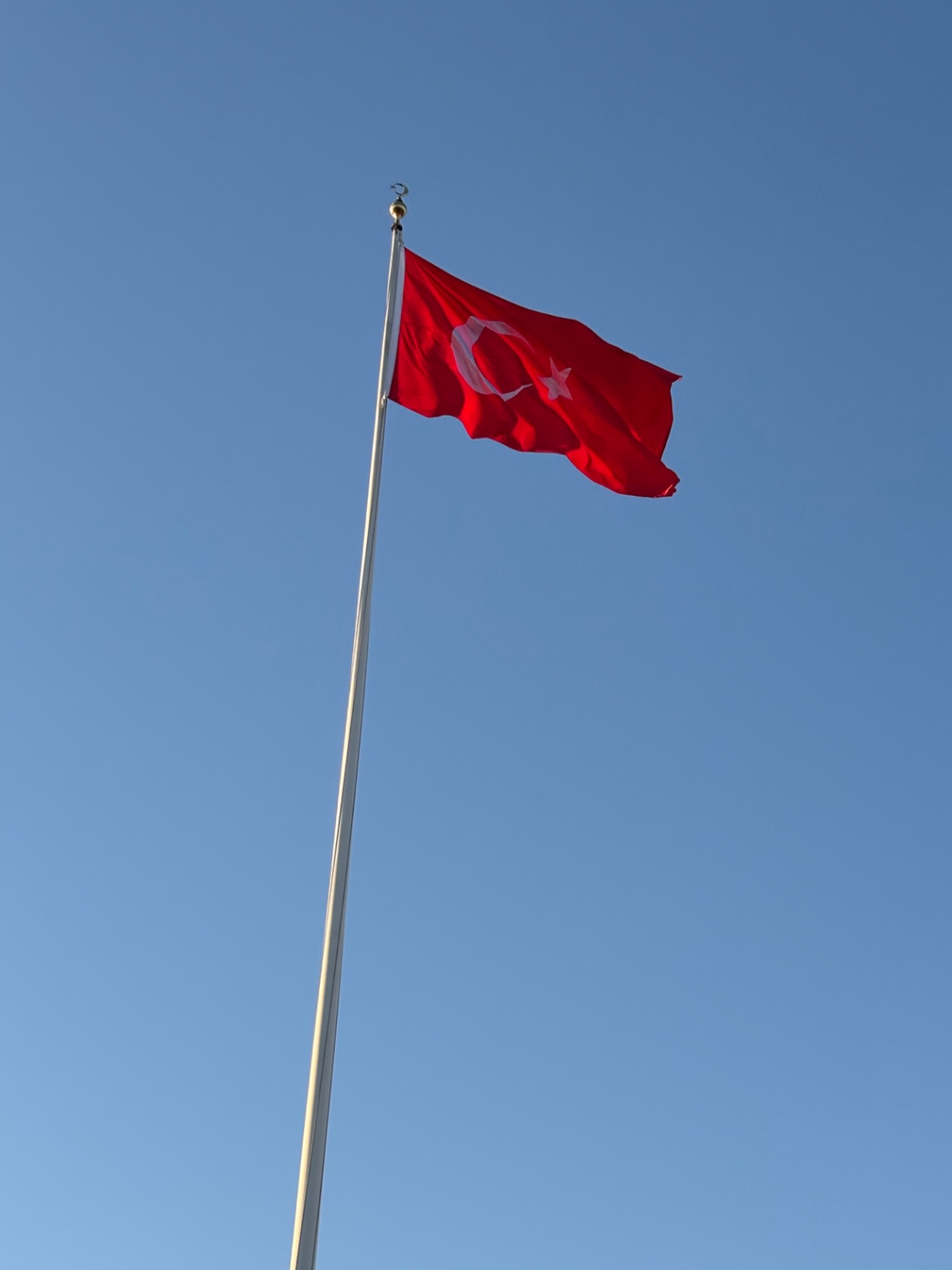 direği soysuzlara…