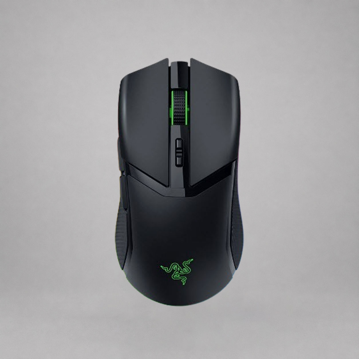 Mouse