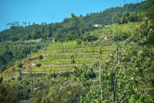 cinque terre