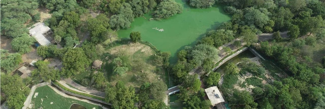 Delhi Zoo