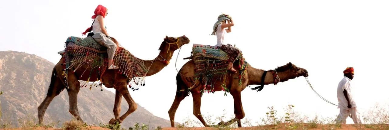 Camel Safari Pushkar