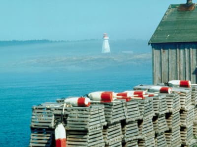 Lobster traps stacked at wooden fishing dock with lighthouse in Bay of Fundy Nova Scotia
