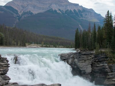 Wide view of Athabasca Falls with powerful white water, Jasper National Park, Alberta