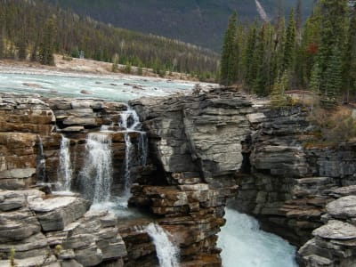 Athabasca Falls rushing over layered rock canyon, Jasper National Park, Alberta