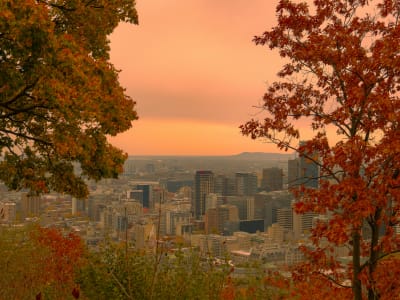 Montreal skyline in autumn foliage viewed from Mont Royal, Quebec, Canada