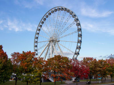 Ferris wheel at the Old Port of Montreal in autumn with colorful trees and blue sky