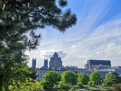 Montreal city skyline viewed through green trees on a sunny summer day