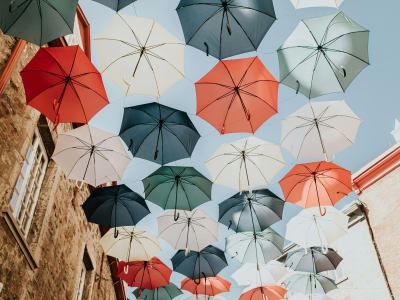 Colorful umbrella art installation hanging above a street in Quebec City, viewed from below