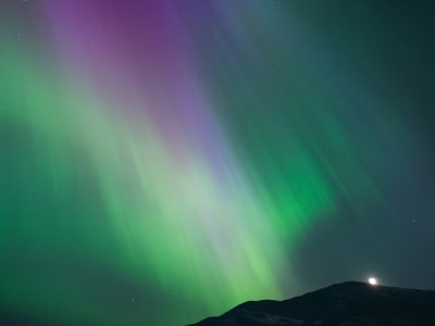 Vivid green and purple northern lights over the Churchill tundra in Manitoba, Canada