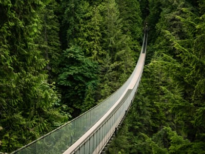 Walking the Capilano Suspension Bridge with snow-capped Coast Mountains visible in the distance, North Vancouver