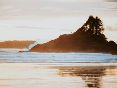 Silhouette of a rocky sea stack with trees at sunset on the rugged coastline of Pacific Rim National Park, Vancouver Island