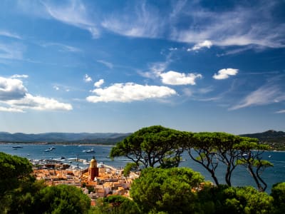 Sandy beach near Saint-Tropez with a pine tree in the foreground and sparkling blue Mediterranean Sea, Côte d'Azur