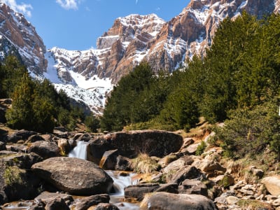 Crystal-clear mountain stream flowing through rocky terrain with snow-capped Pyrenees peaks in the background, France