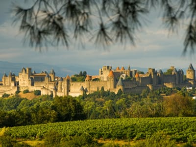 Carcassonne's medieval fortress rising above surrounding vineyards in the Languedoc wine region, France