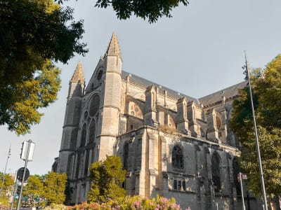 Side view of Nîmes Cathedral surrounded by yellow autumn foliage, Languedoc southern France
