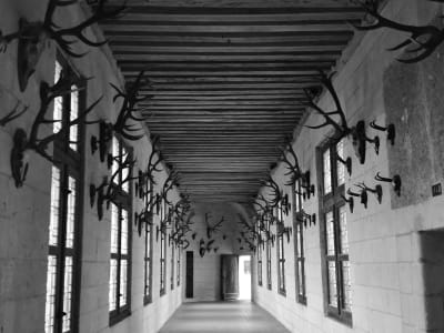 The famous double-helix staircase gallery interior of Château de Chambord with vaulted stone ceilings, France