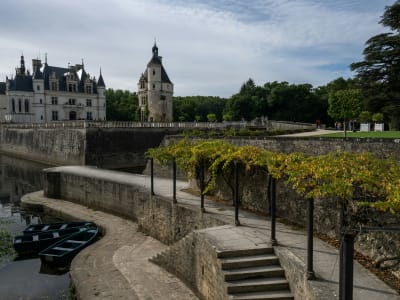 Side view of Château de Chenonceau with its vineyard and stone terrace, Loire Valley France