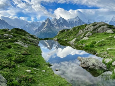 Summer alpine meadow with rocks and dramatic cloud-shrouded peaks in the Mont Blanc massif, France