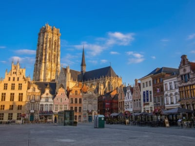 The Grote Markt square and Sint-Romboutskathedraal cathedral illuminated at golden hour in Mechelen, Belgium