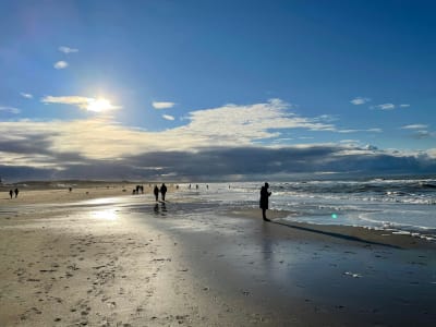 Families strolling along the wide sandy beach at Noordwijk aan Zee at golden hour, Netherlands