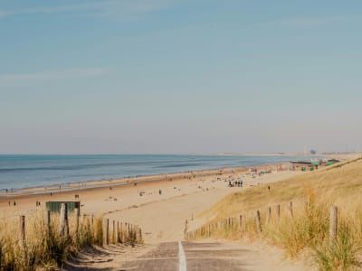 Wide sandy beach at Zandvoort with sun-drenched dunes and beachgoers on a summer day, Netherlands
