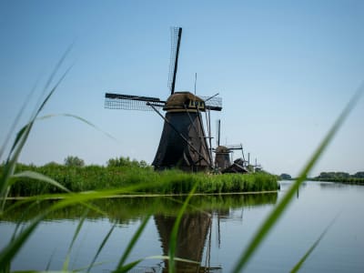 Close-up of a traditional Dutch windmill surrounded by reeds and water at Kinderdijk, Netherlands