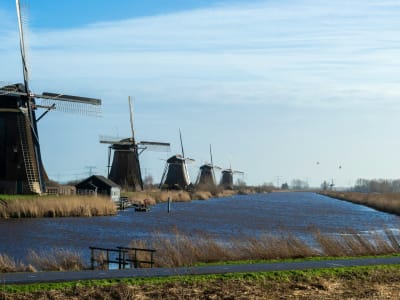 Row of historic Kinderdijk windmills reflected in the still polder water on a calm winter day, Netherlands