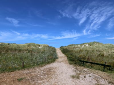 Wide open dune landscape with a path through marram grass under a blue sky on a Wadden island, Netherlands