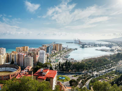 Aerial view of Málaga city with the historic bullring and port on the Costa del Sol, Andalusia, Spain