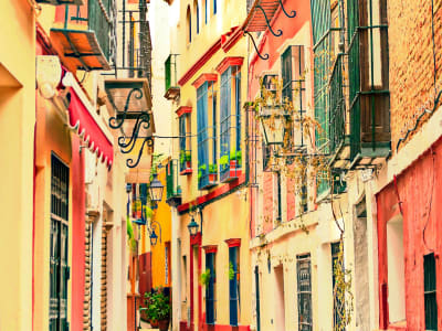 Colorful street in Triana neighborhood Seville with traditional Andalusian facades and flower pots