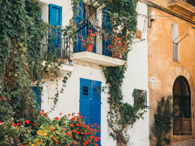 Ivy-covered blue door on whitewashed wall in Ibiza Town old quarter Spain