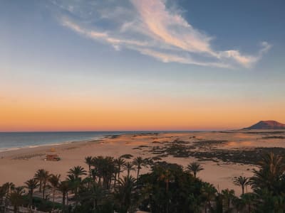 Fuerteventura desert landscape at sunset with palm trees sand dunes and volcanic peak Canary Islands