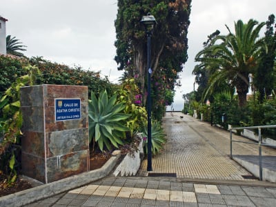 Tropical promenade in Puerto de la Cruz Tenerife with palm trees agave plants and colonial buildings