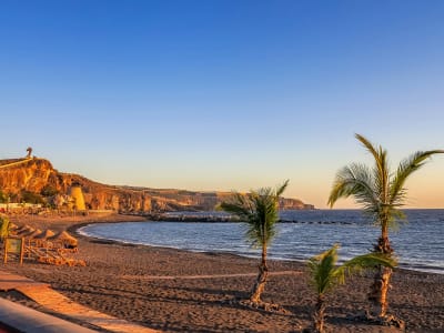 Black sand beach at Los Cristianos Tenerife with palm trees and calm sea at dusk Canary Islands