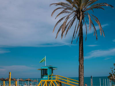 Palm tree and blue lifeguard tower on sunny Costa del Sol beach Andalusia Spain