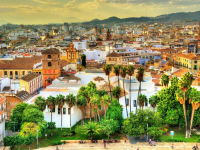 Panoramic rooftop view of Málaga city with cathedral palm trees and mountains Andalusia Spain