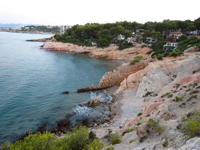 Aerial view of Salou rocky coastline with coves pine trees and Mediterranean sea Tarragona Spain