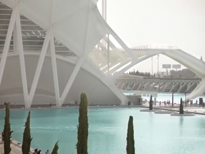Ciudad de las Artes y las Ciencias Valencia white futuristic bridge and science museum Spain