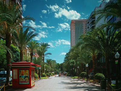 Palm tree-lined Explanada de España promenade Alicante with mosaic pavement Costa Blanca Spain