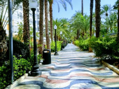 Alicante waterfront promenade with tall palm trees and Mediterranean sea Costa Blanca Spain