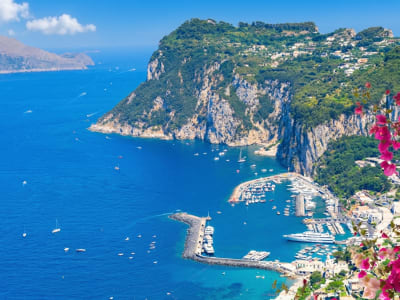 Capri island aerial view with pink bougainvillea turquoise sea and rocky coastline Italy