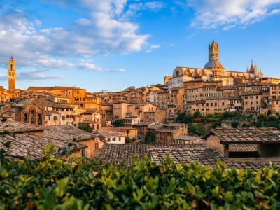 Panoramic view over the terracotta rooftops and cathedral tower of Siena in Tuscany, Italy