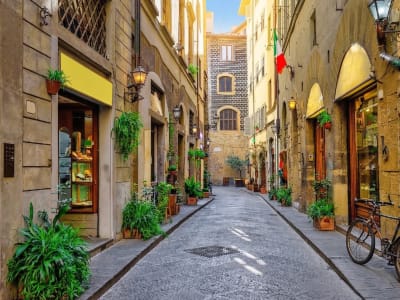 Charming cobblestone street with a parked bicycle and plant-lined shopfronts in central Florence, Italy