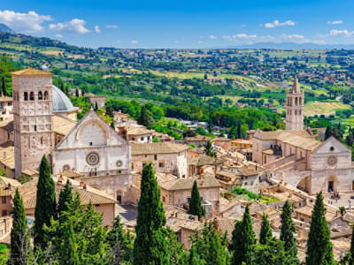 Aerial view of Assisi with the cathedral, cypress trees and the green Umbrian valley in the background