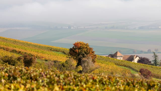 Champagne Region