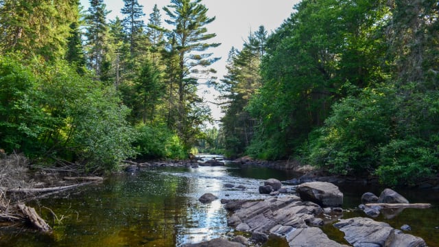 Algonquin Provincial Park