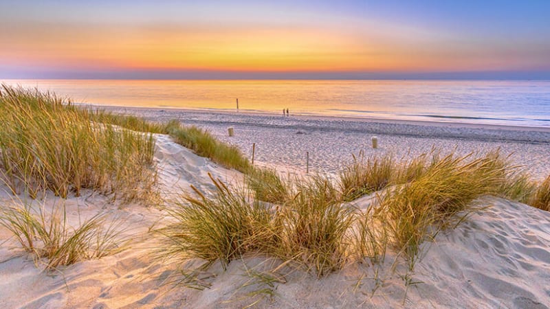 Renesse